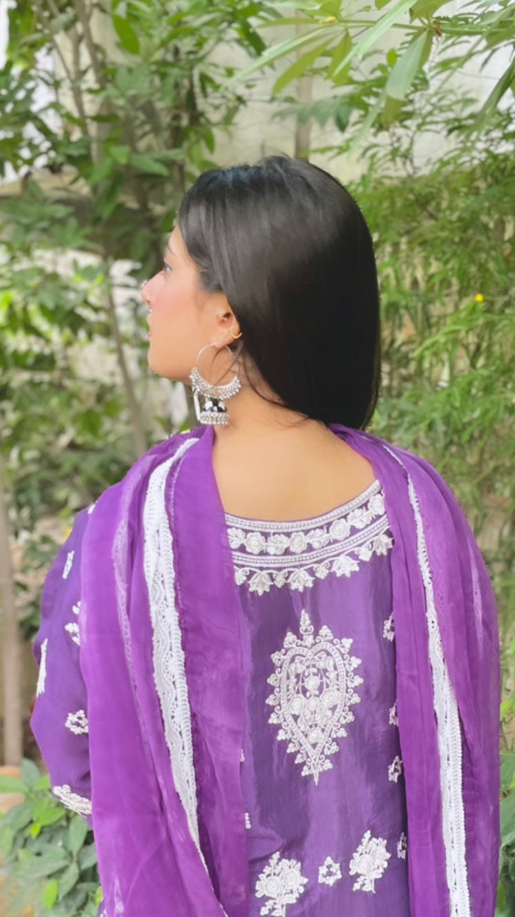 Radiance Raw Silk Stitched Dress 2024