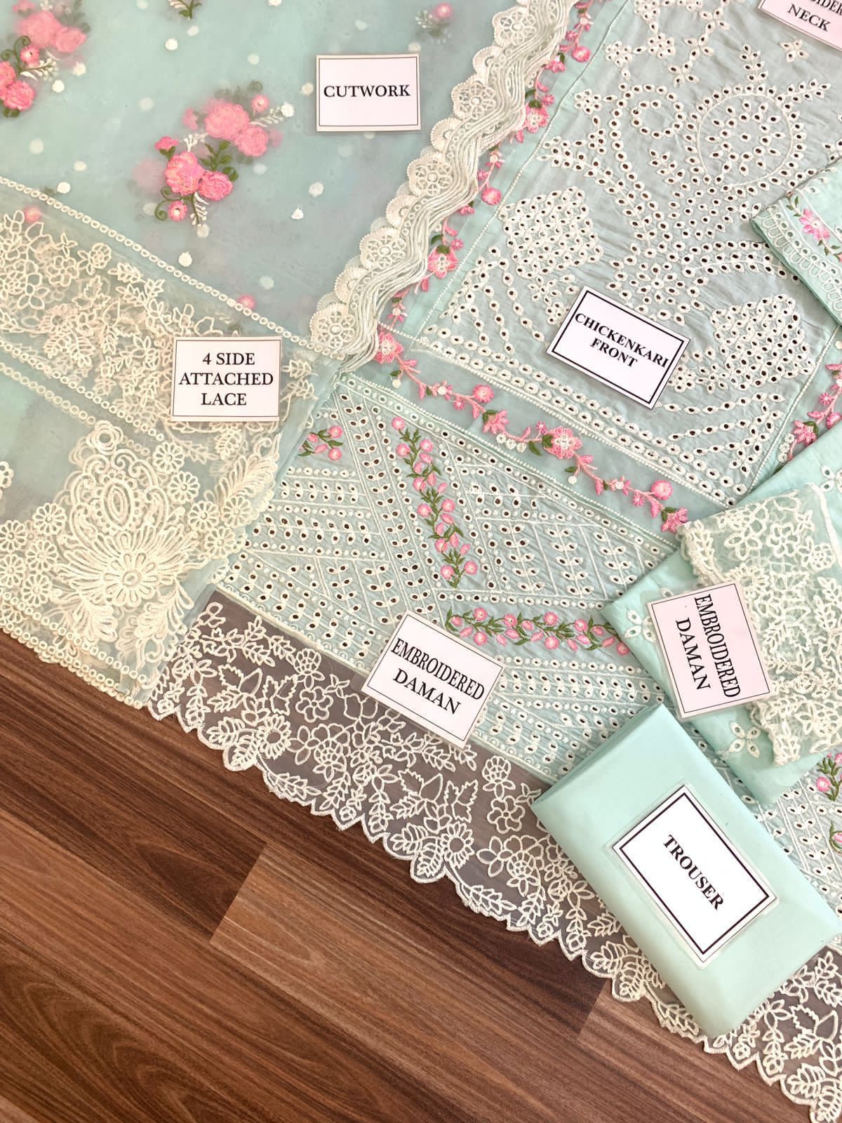 Bin Ilyas Newly Launched Sky & Pink Chikankari Demanding With Organza Duppata 2024 - Wearza