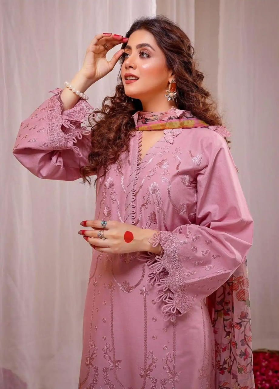 Limelight Dhanak Embroidered Dress Winter wearing a pink embroidered outfit with a plain background