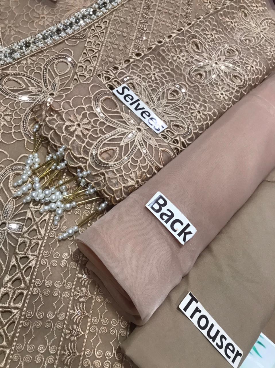 Maryum N Maria Handcrafted Shrimp Wz-09 Most Beautiful Premium Organza Dress 2025