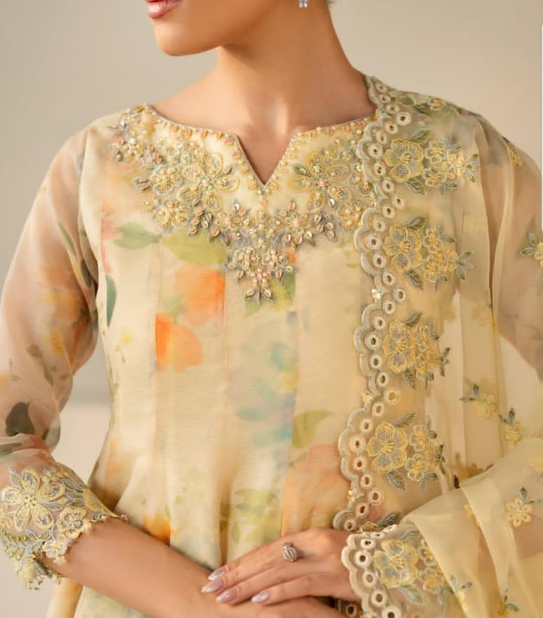 Baroque Wz-842 Most Beautiful Luxury Chiffon Festive Dress 25