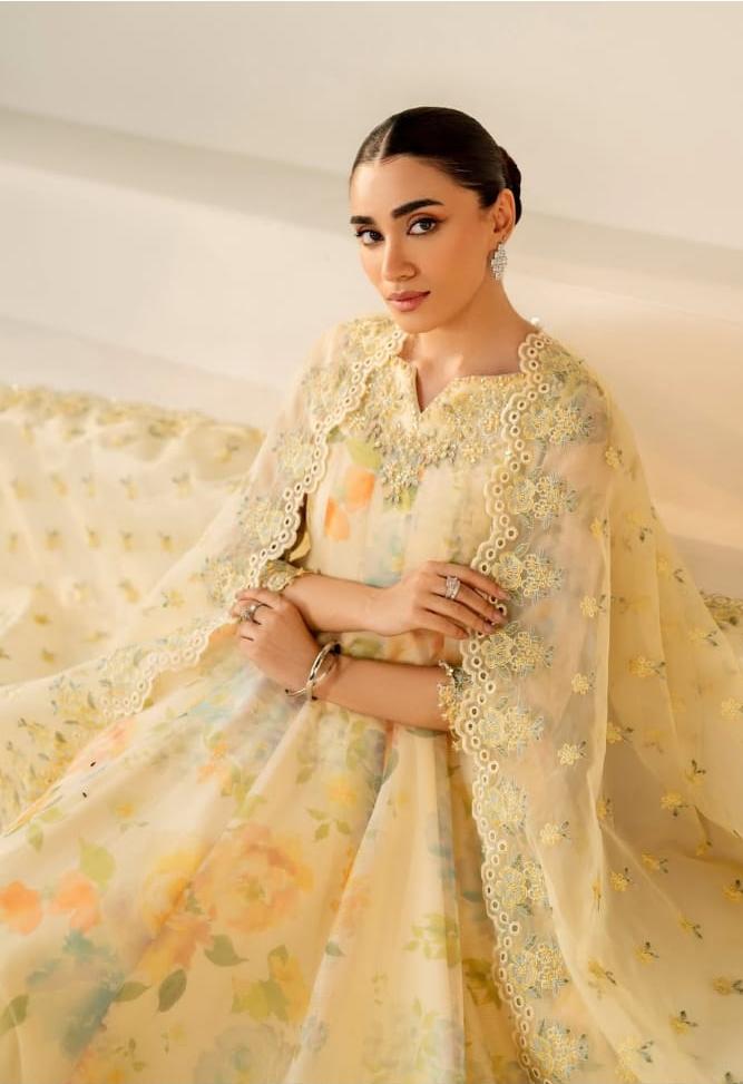 Baroque Wz-842 Most Beautiful Luxury Chiffon Festive Dress 25